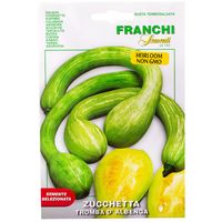 Franchi Sementi Tromba di Albenga Marrow/Zucchini 